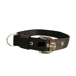 dog collar black