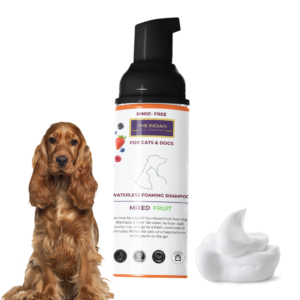 Mixed Fruit Dry Forming pet shampoo