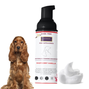 Raspberry Vanilla Dry Forming pet shampoo