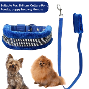 BL - Fur Collar & Leash Combo Blue SB