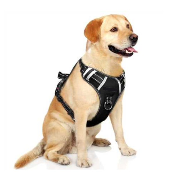 DOUBLE SIDE PADDED HARNESS FRONT