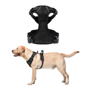 DOUBLE SIDE PADDED HARNESS J