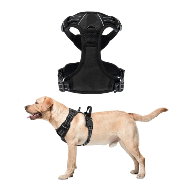 DOUBLE SIDE PADDED HARNESS J