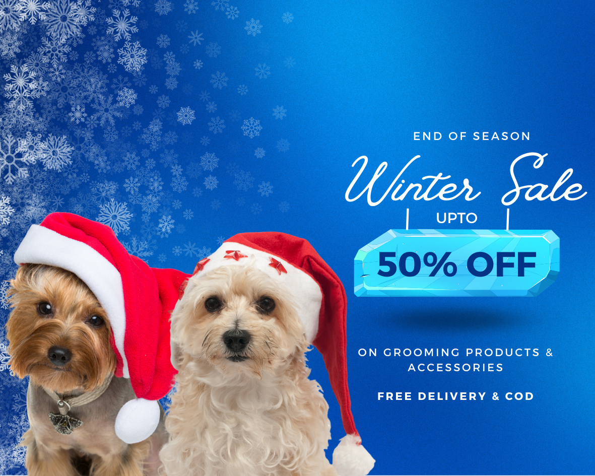 Home pet grooming coupon DIWALI