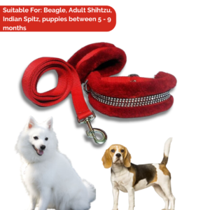 RD - Fur Collar & Leash Combo Red Mb