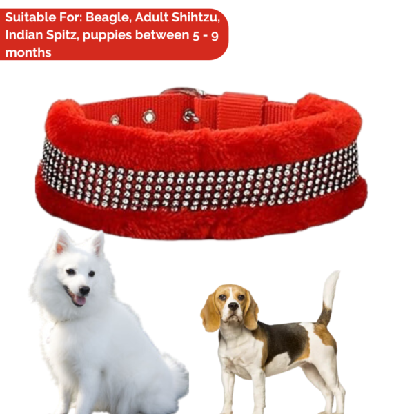 Red Dog Collar Padded with Soft Fur (Medium) with Leash Set - Image 2