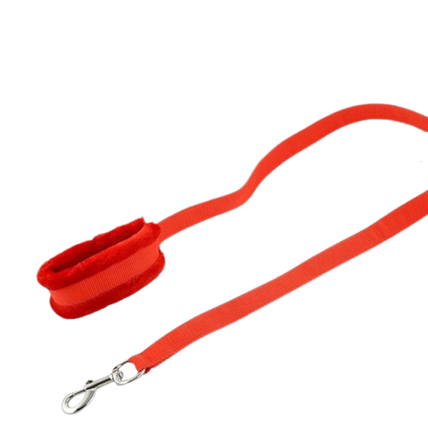 Red Dog Collar Padded with Soft Fur (Medium) with Leash Set - Image 3