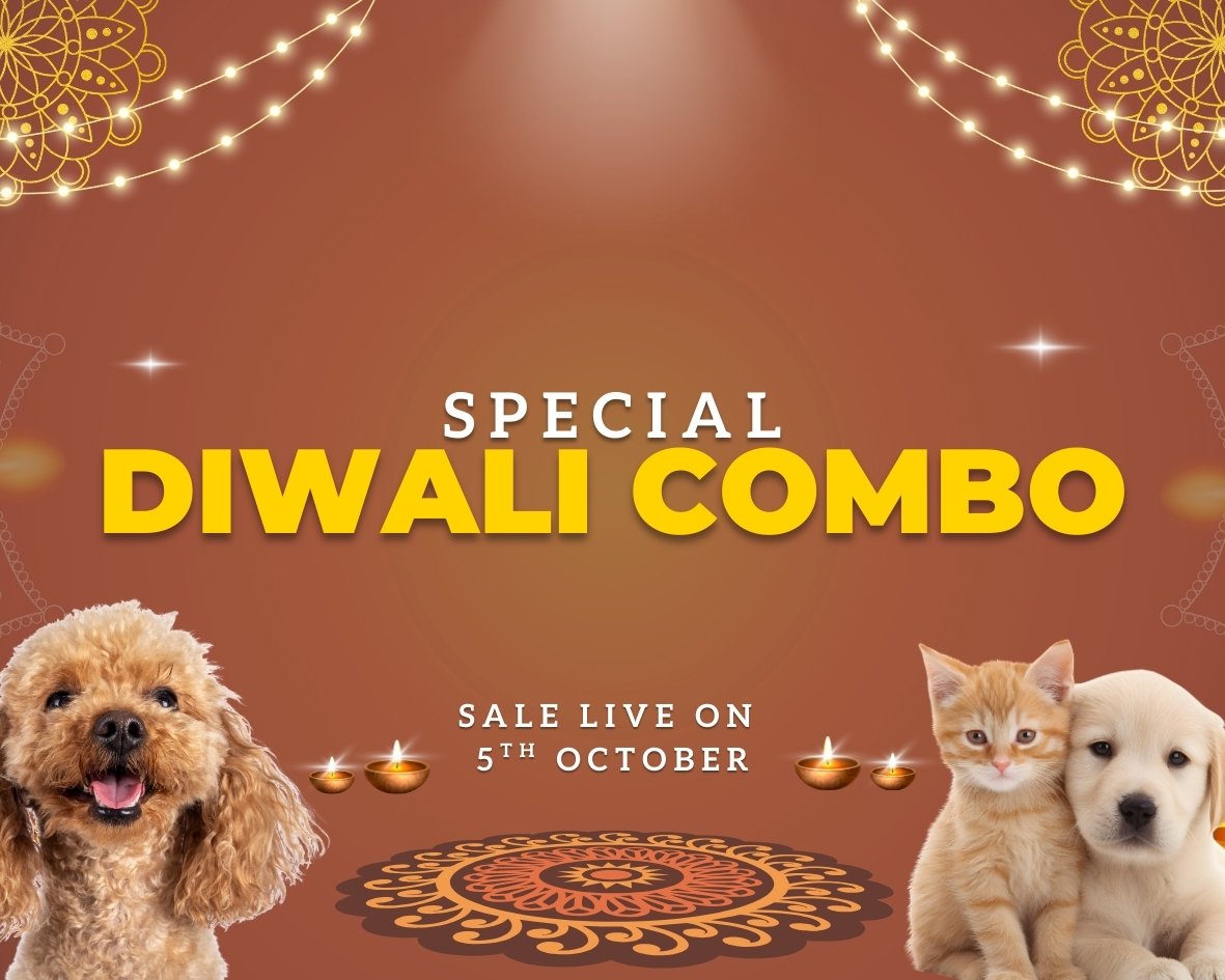Diwali combos for dogs and cats