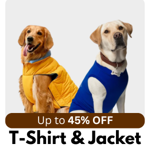 Dog Tshirts and jackets