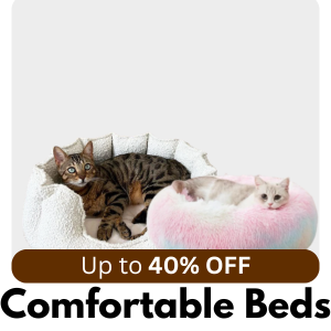 Comfortable beds for Cats
