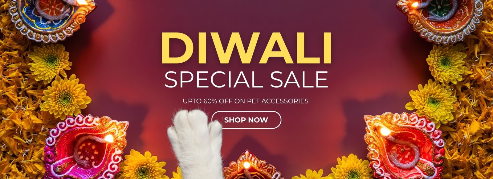 pet clothes diwali discount